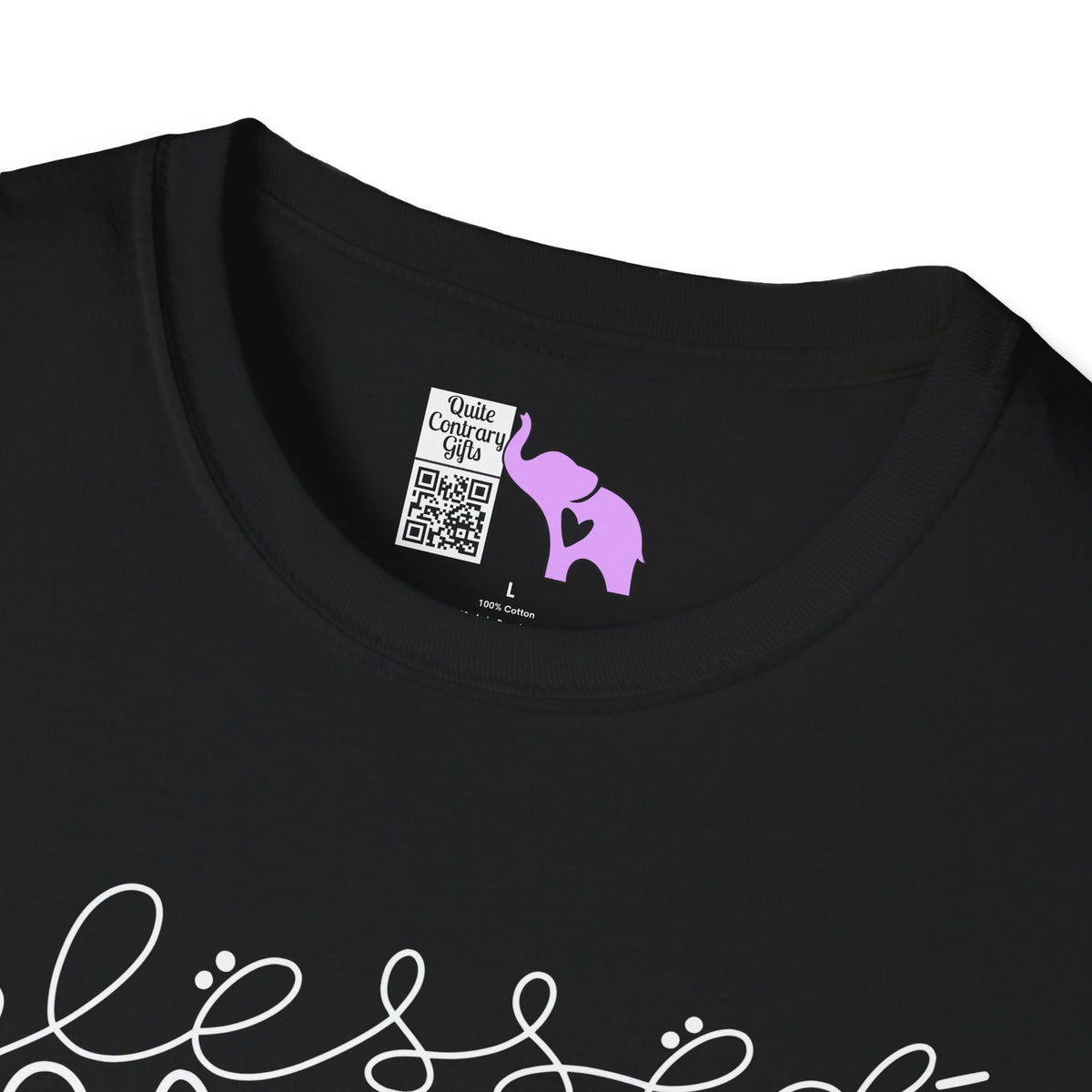 Blessed Beyond Measure Adult T-shirt