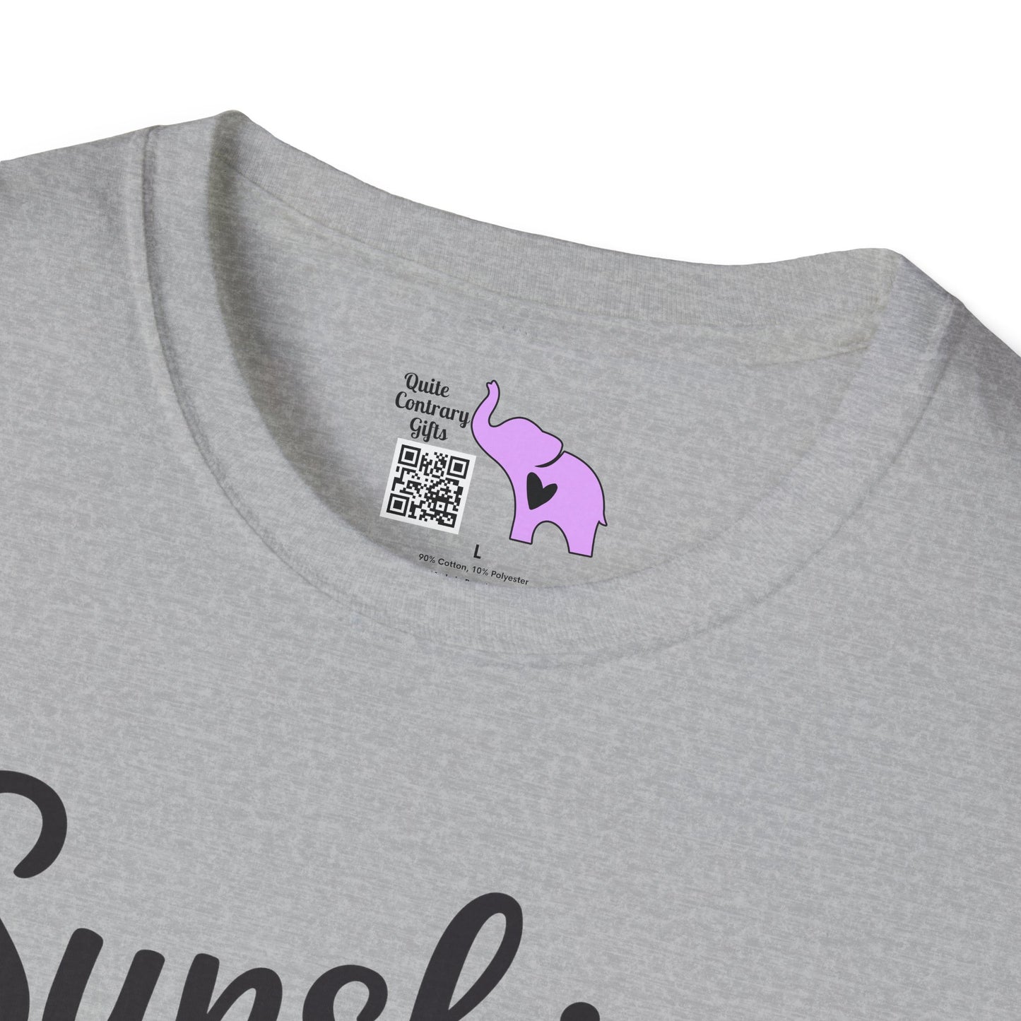 Sunshine Mixed With A Little Hurricane Adult T-shirt