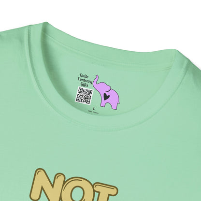 Not Friendly Do Not Touch Adult  T-shirt