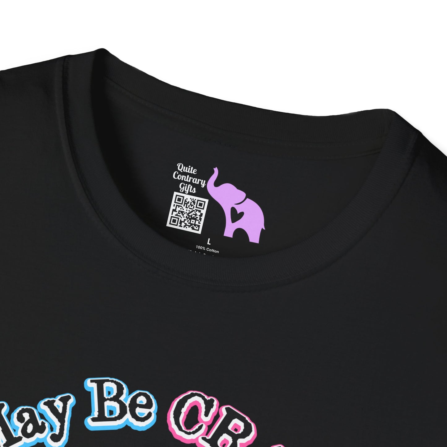 I May Be Crazy But Far Better Than Stupid Adult T-shirt