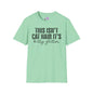 This Isn't Cat Hair It's Kitty Glitter Adult T-shirt