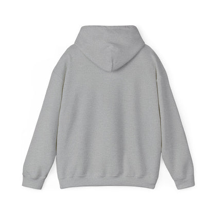 I Like Big Gifts & I Cannot Lie Adult Heavy Blend™ Hoodie