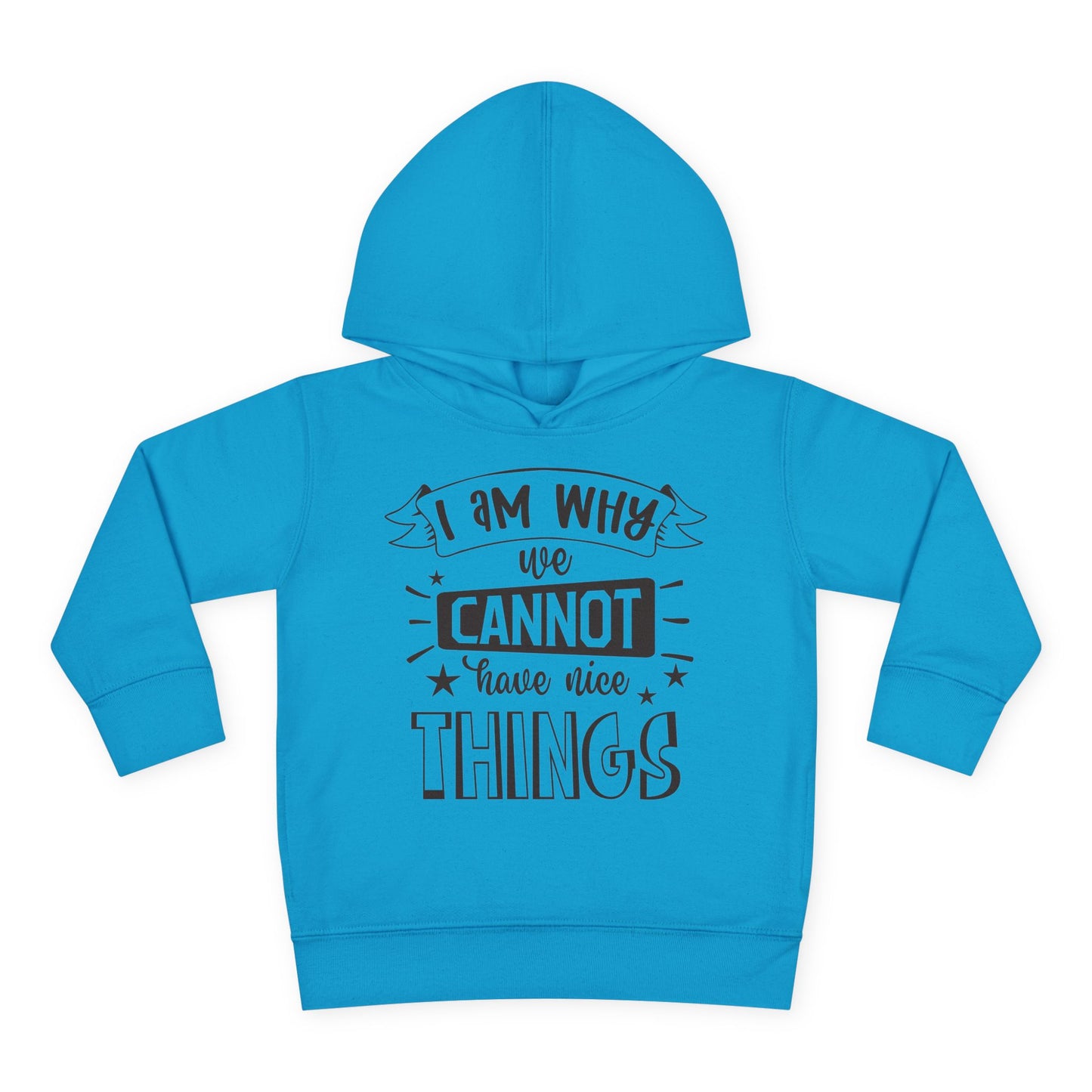 I Am Why We Cannot Have Nice Things Toddler Hoodie