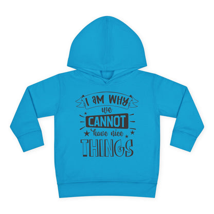 I Am Why We Cannot Have Nice Things Toddler Hoodie