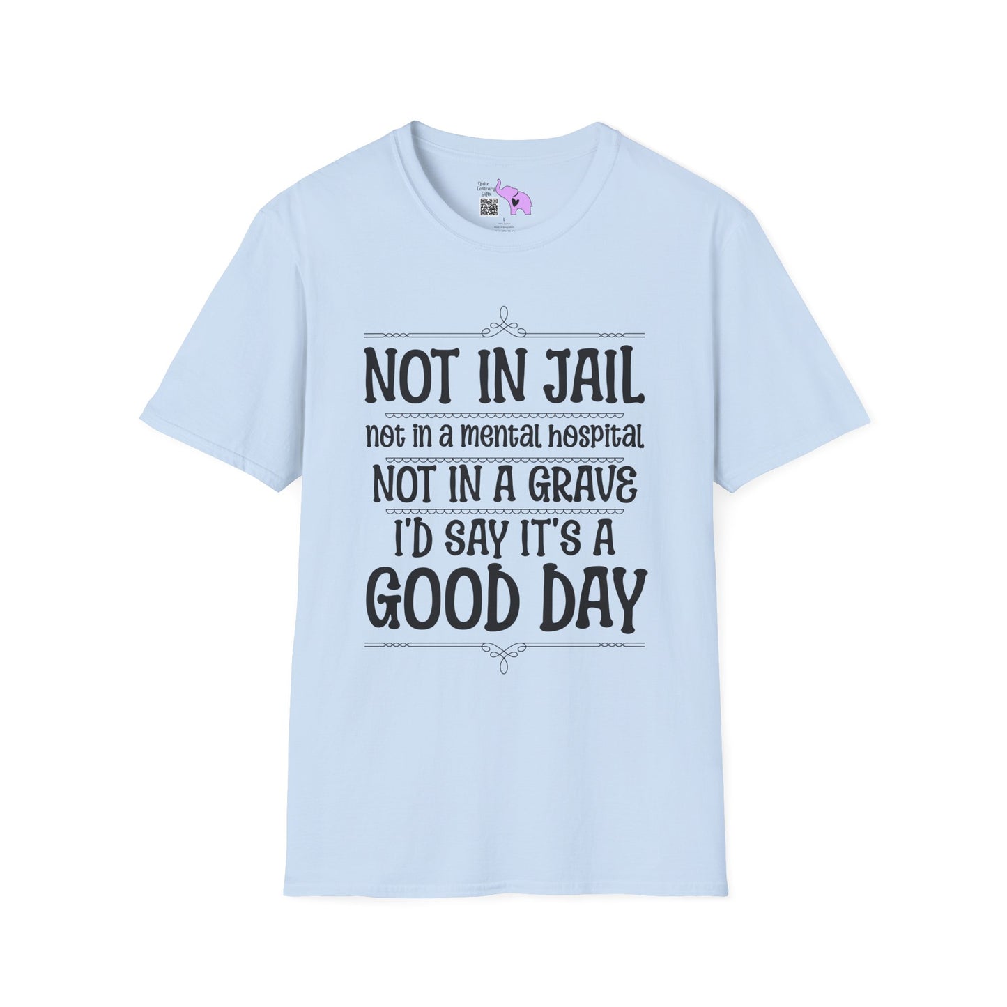 Not In A Jail/Mental Hospital/Dead I'd Say It's A Good Day Adult T-shirt