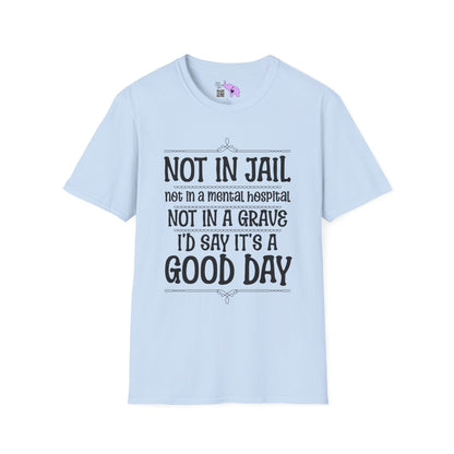 Not In A Jail/Mental Hospital/Dead I'd Say It's A Good Day Adult T-shirt
