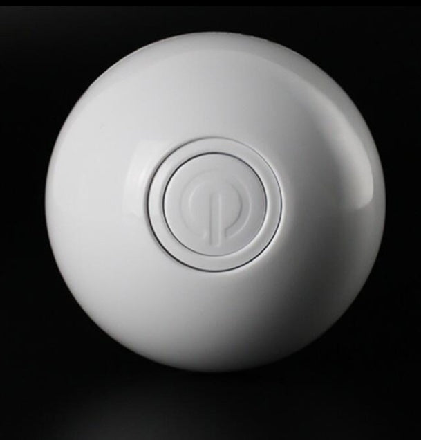 Zoomie Light Ball for Pets