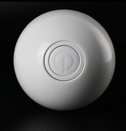 Zoomie Light Ball for Pets