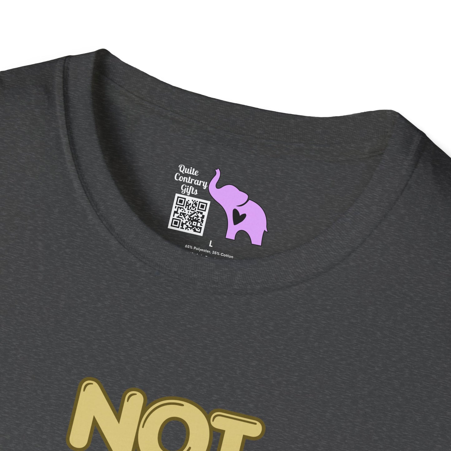 Not Friendly Do Not Touch Adult  T-shirt