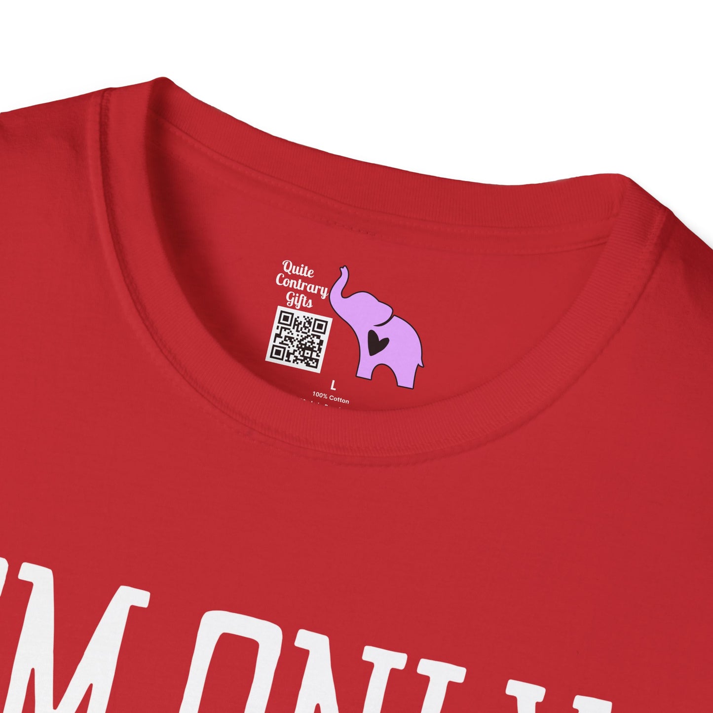 I'm Only Talking To My Dog Today Adult T-shirt