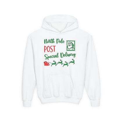North Pole Post Special Delivery Youth Hoodie