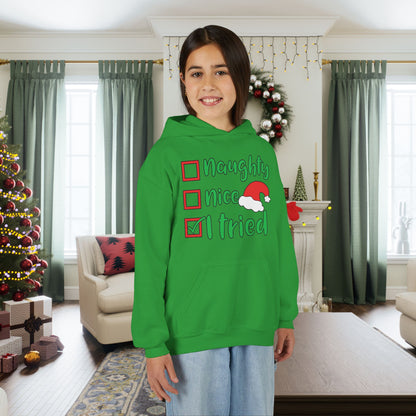 Naughty Nice I Tried Youth Hoodie