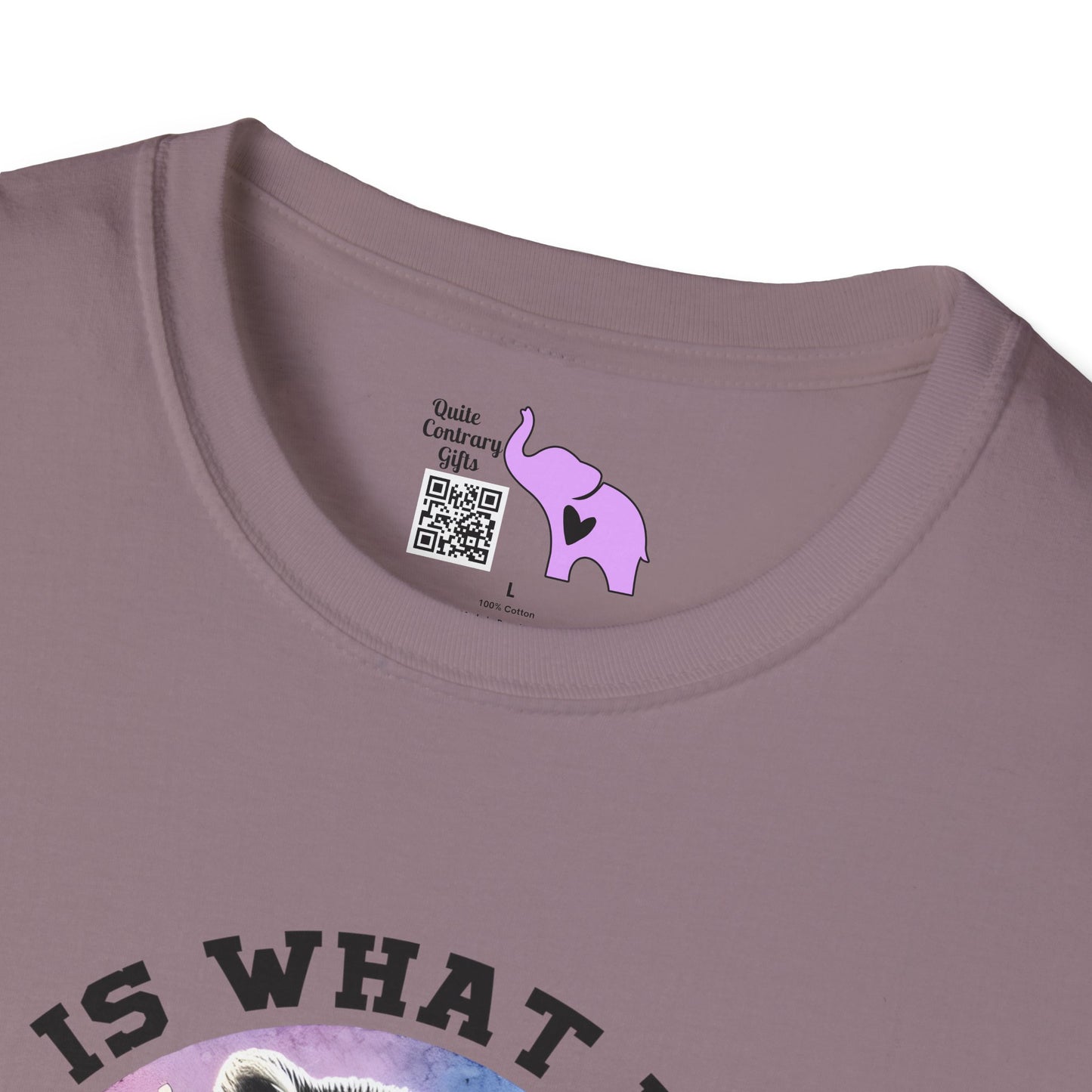 It Is What It Is And It's Not Great Raccoon Adult T-shirt