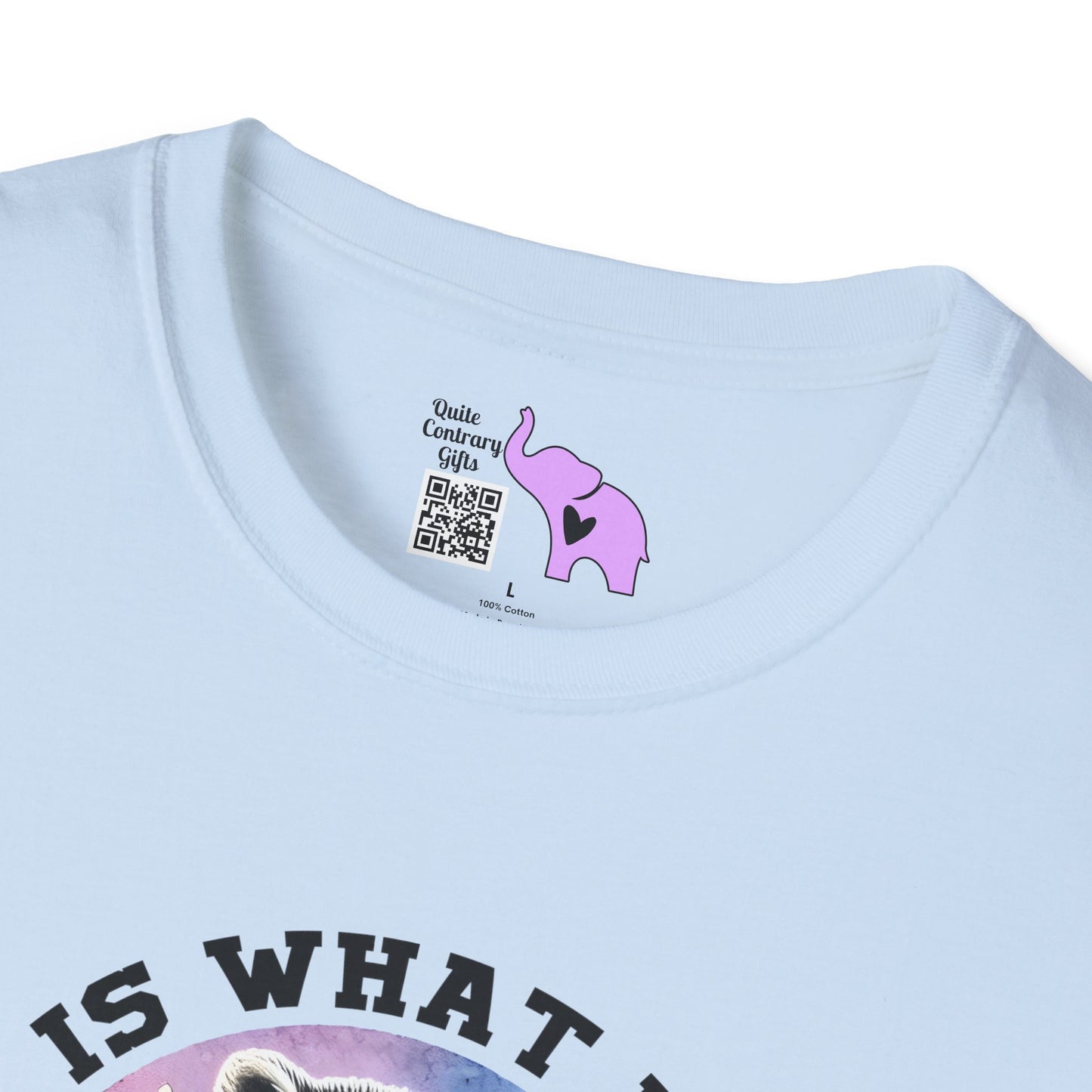 It Is What It Is And It's Not Great Raccoon Adult T-shirt