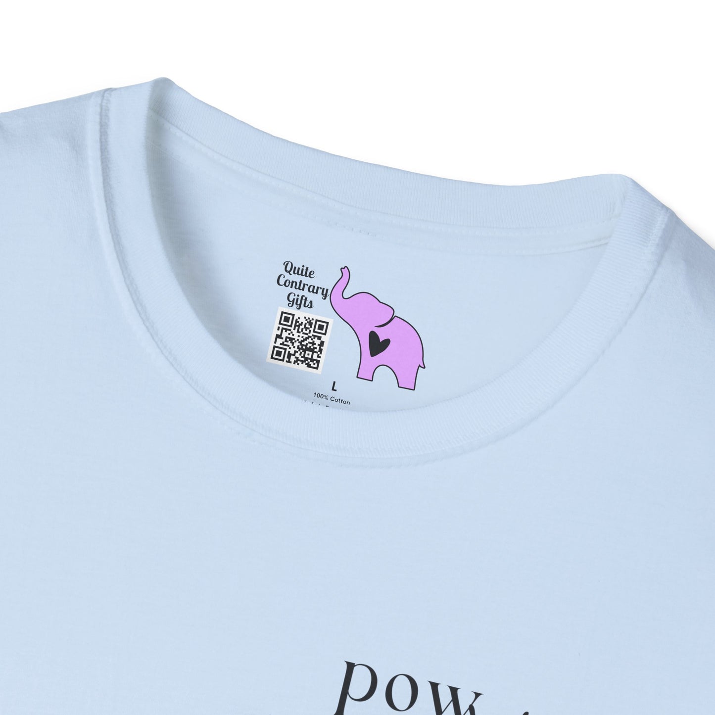 She Overcame Everything That Was Meant To Destroy Her T-shirt