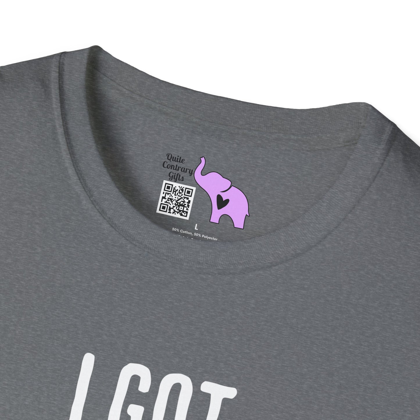 I Got Mood Poisoning Must Have Been Something I Hate Adult T-shirt