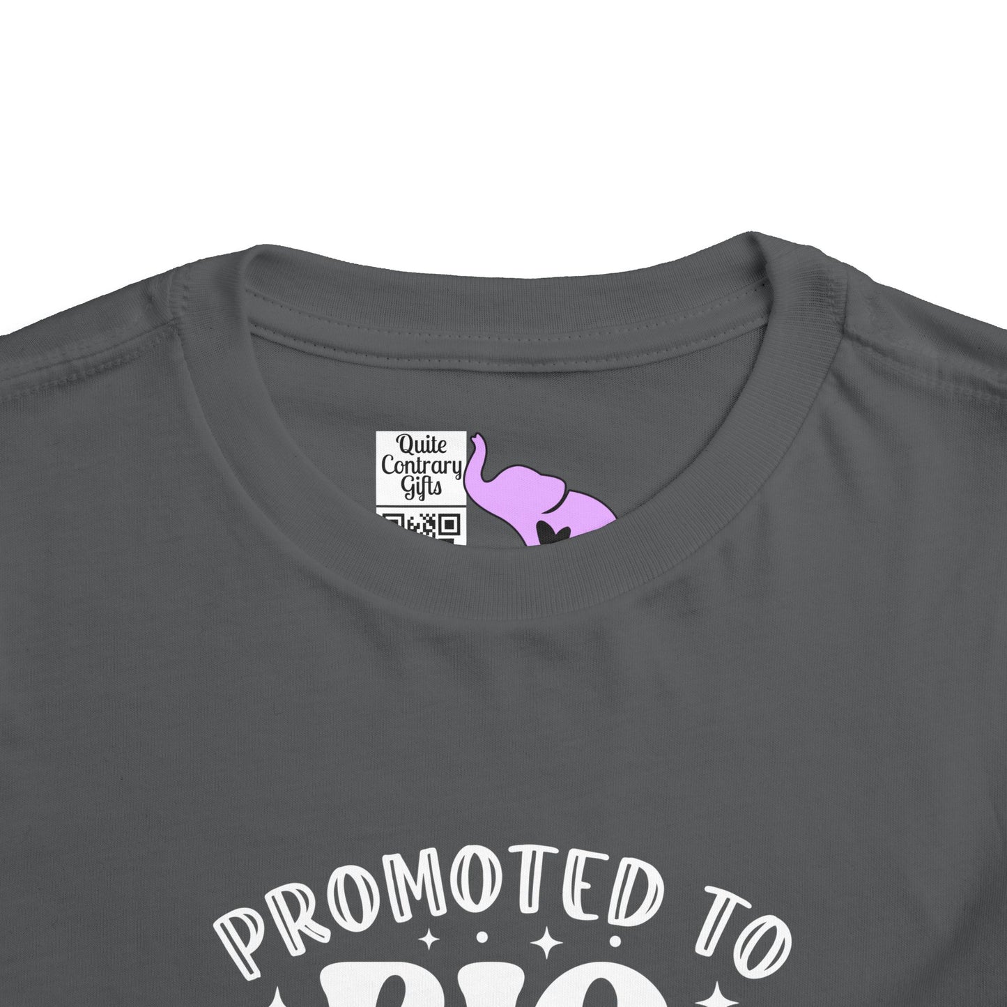 Promoted to Big Sister Toddler Tee