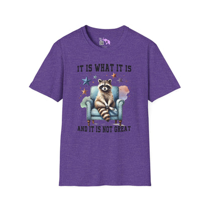 It Is What It Is And It's Not Great Racoon (2) Adult T-shirt