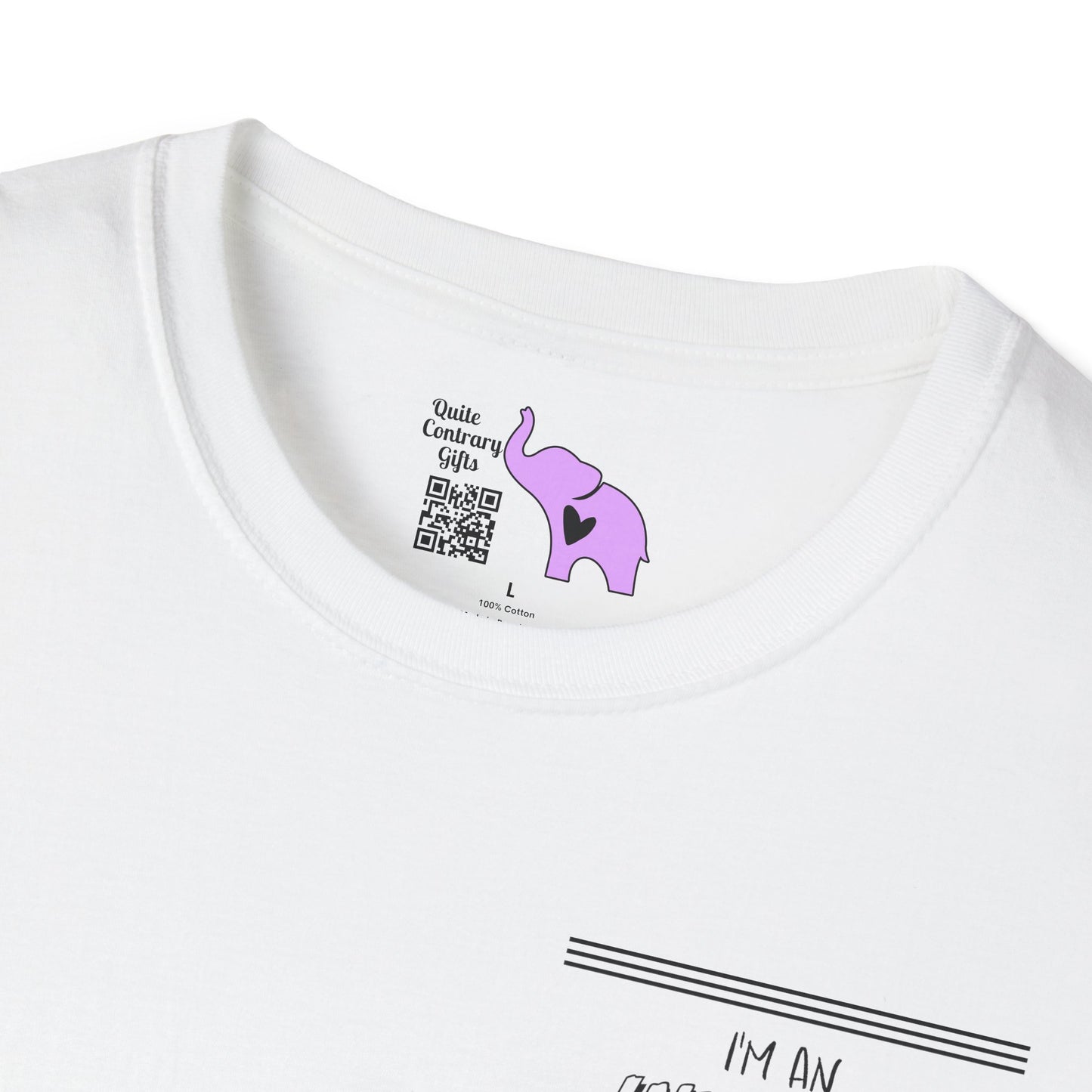 I'm An INVISIBLE Warrior Invisible Illness Adult T-shirt