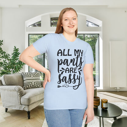 All My Pants Are Sassy T-shirt