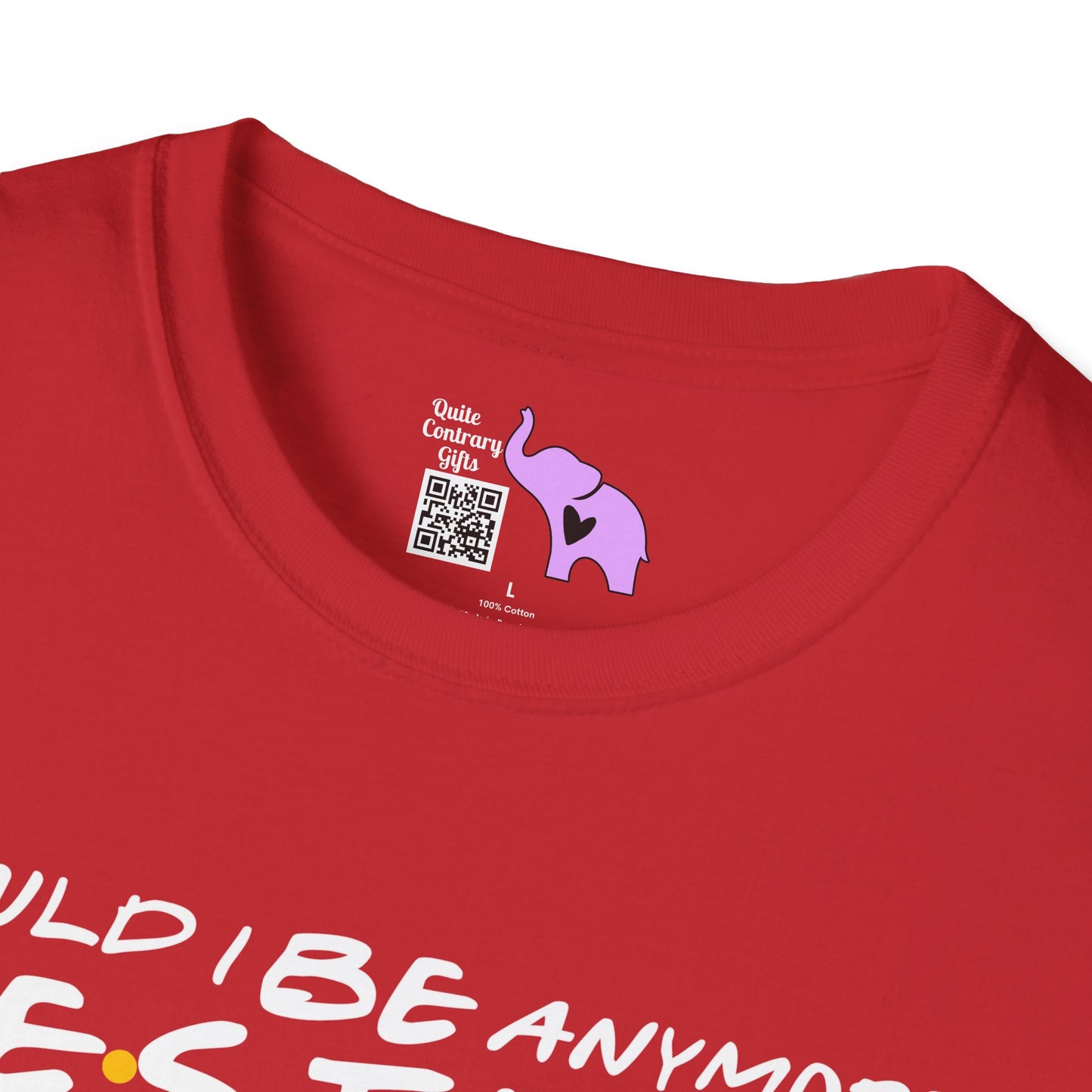 Could I BE Anymore Festive? (Friends, Phoebe's Christmas Song) Adult T-shirt