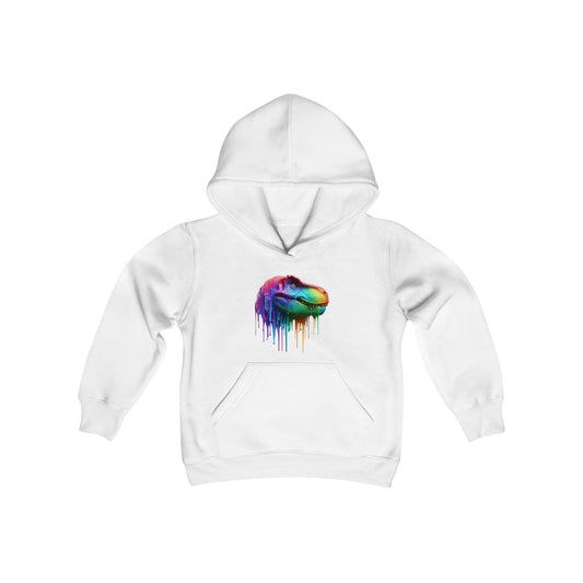 Colorful Dinosaur Youth Hoodie