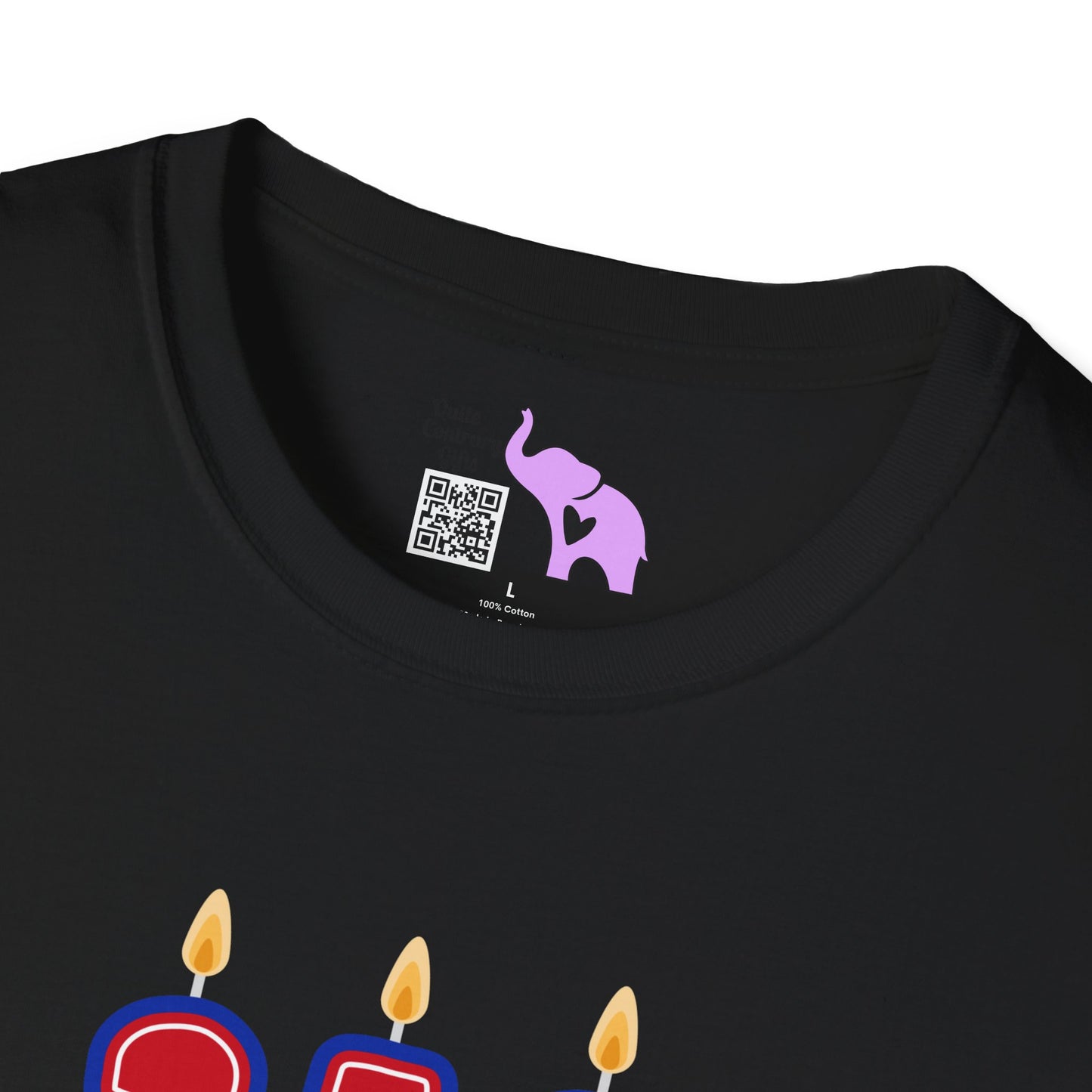 Happy Birthday USA Adult T-shirt