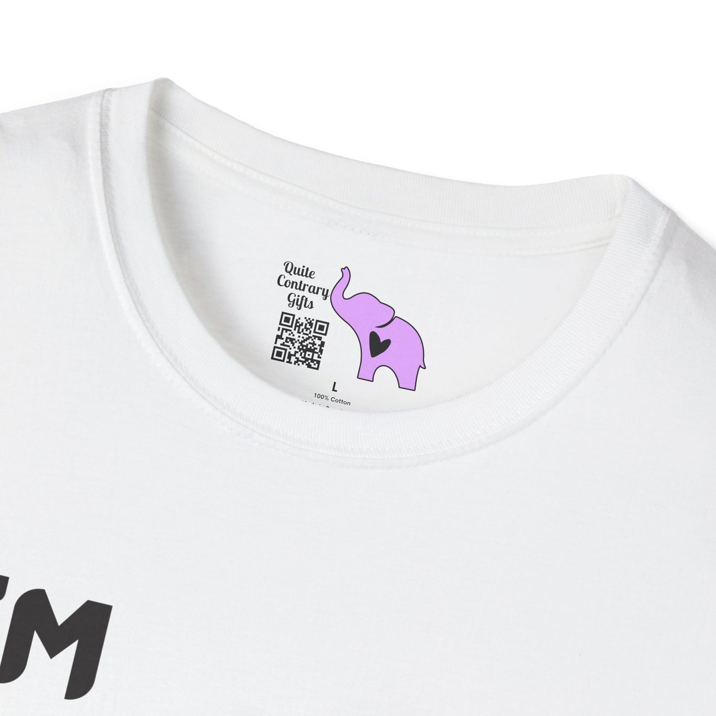 I'm GenX I Don't Care Adult T-shirt