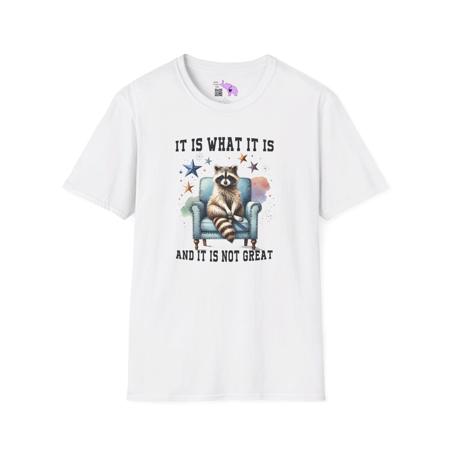 It Is What It Is And It's Not Great Racoon (2) T-shirt