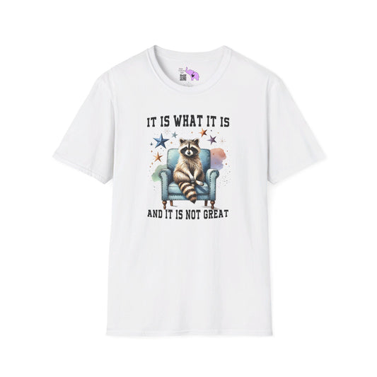 It Is What It Is And It's Not Great Racoon (2) T-shirt