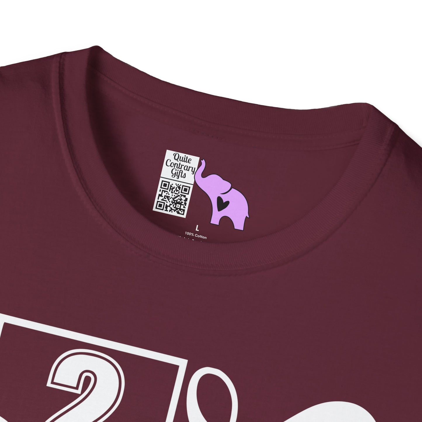Vertical Class of 2027 Senior Adult T-shirt