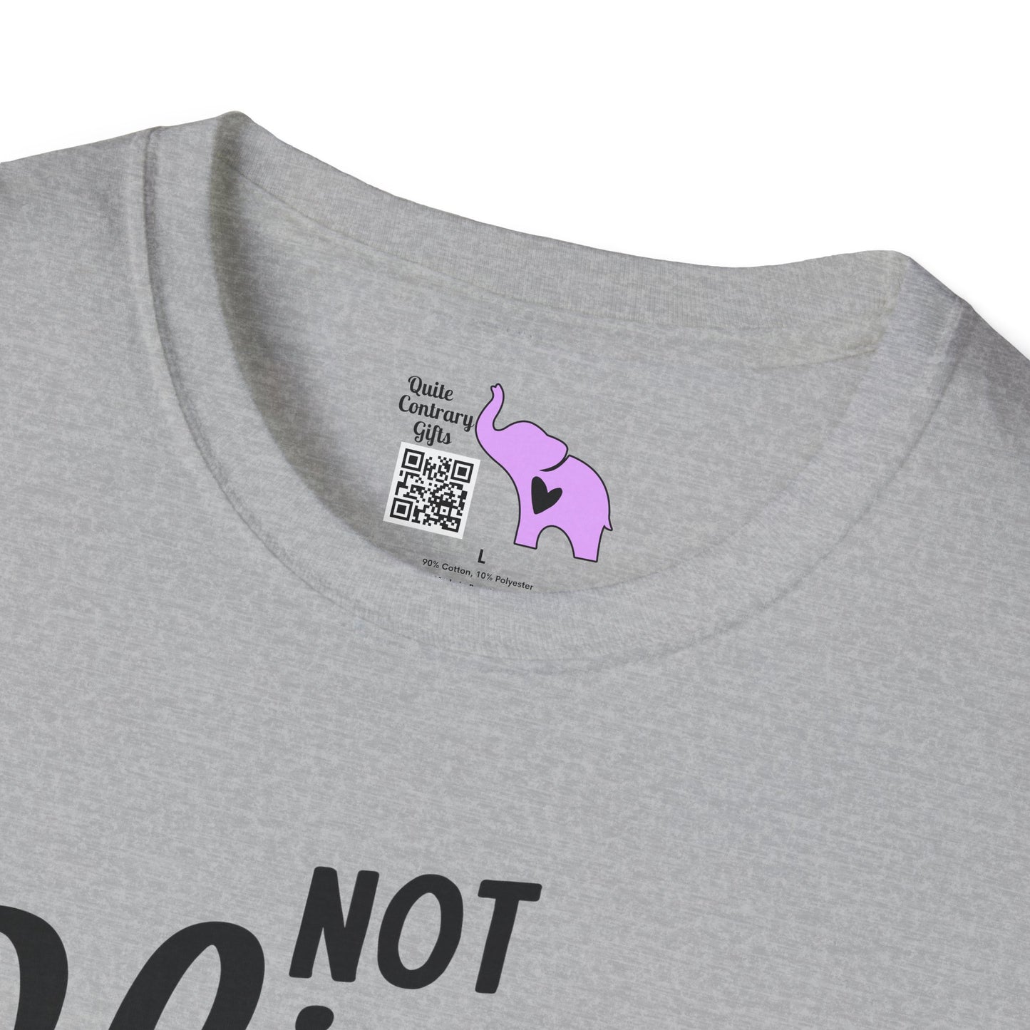 Not Slim Kinda Shady Adult T-shirt