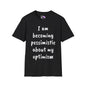 I am Becoming Pessimistic About my Optimism Adult T-shirt