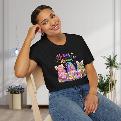 Jesus Is The Reason Adult T-shirt