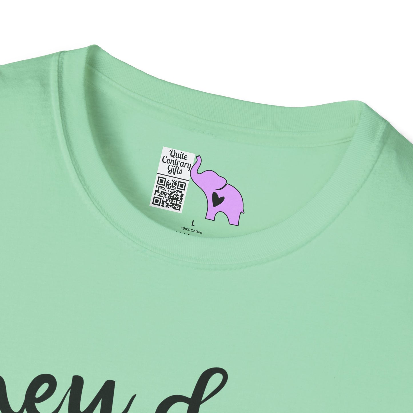 They Don't Pay Me Enough To Care Adult T-shirt