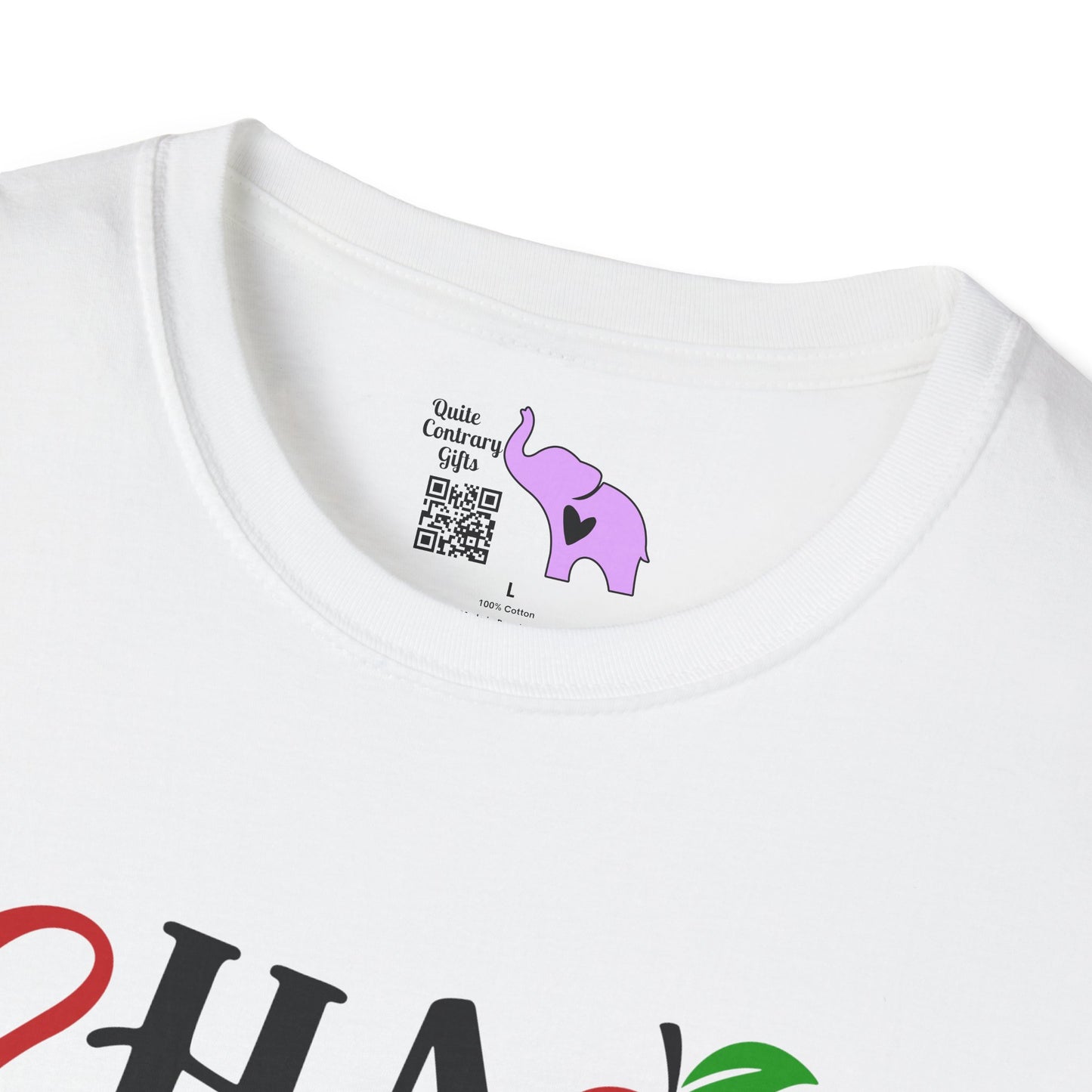 Chaos Coordinator Adult T-shirt