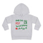 North Pole Post Special Delivery Toddler Pullover Fleece Hoodie