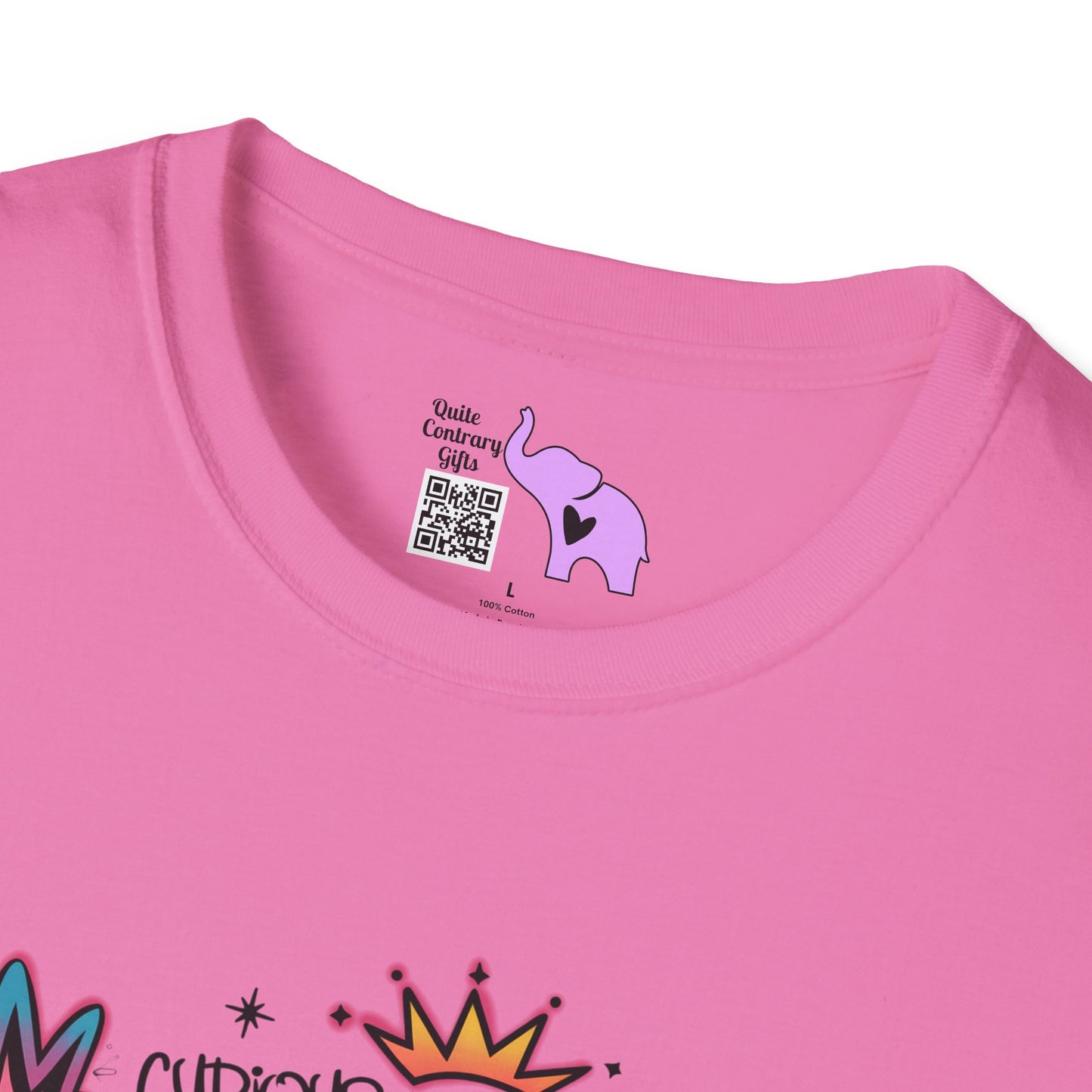 Gemini Street Art Adult T-shirt