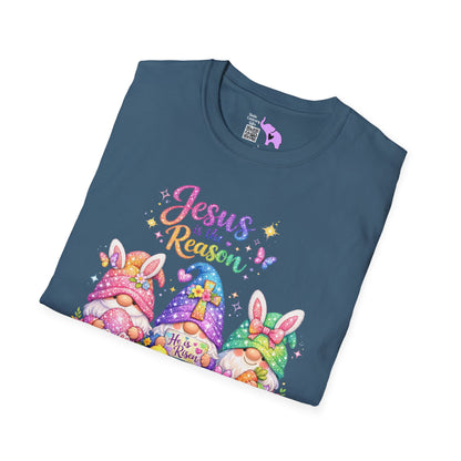 Jesus Is The Reason Adult T-shirt