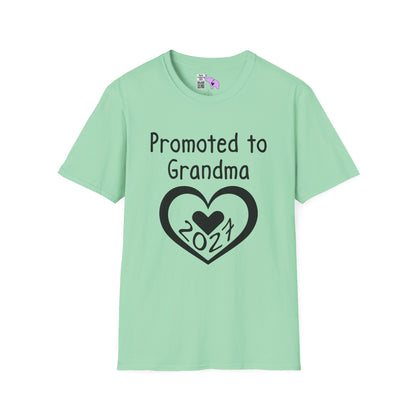 Promoted To Grandma 2027 Adult T-shirt