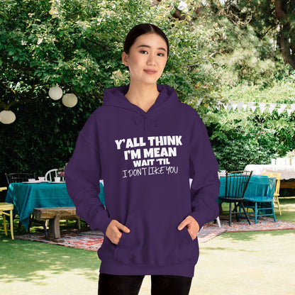 Y'all Think I'm Mean Wait 'Til I Don't Like You Adult Heavy Blend™ Hoodie