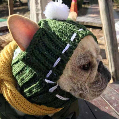 French Beanie Hat and Winter Wool Scarf for Pets