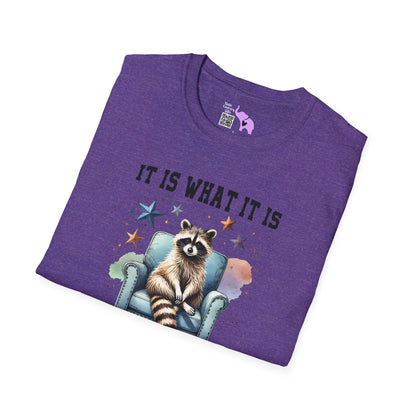 It Is What It Is And It's Not Great Racoon (2) T-shirt