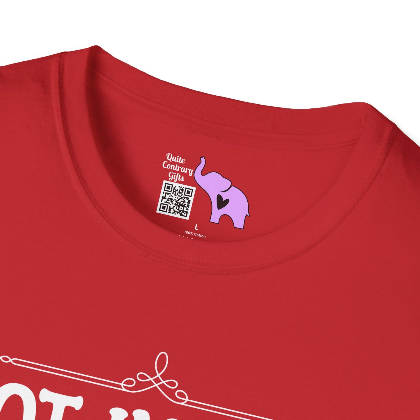 Not In A Jail/Mental Hospital/Dead I'd Say It's A Good Day Adult T-shirt