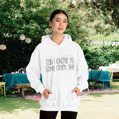 I'm Busy Right Now Can I Ignore You Later? Heavy Blend™ Hooded Sweatshirt