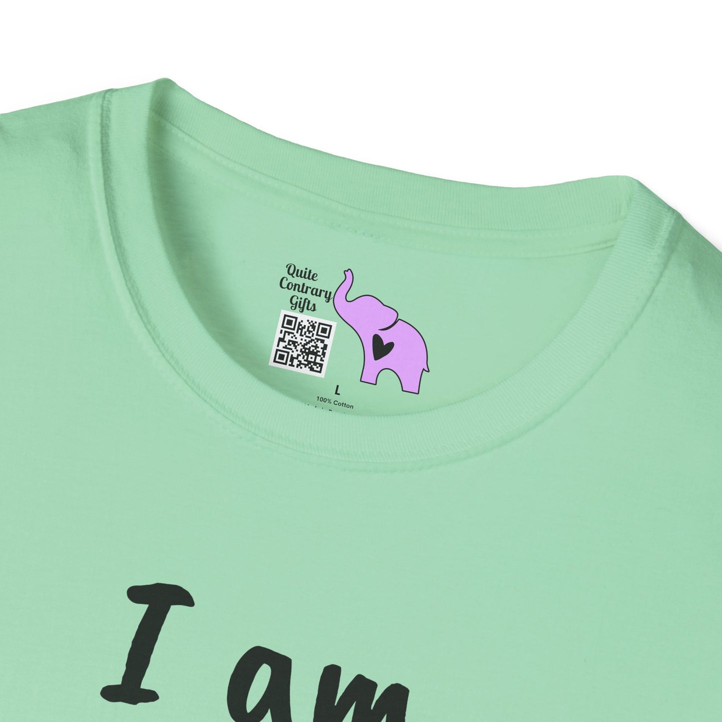 I am Becoming Pessimistic About my Optimism Adult T-shirt