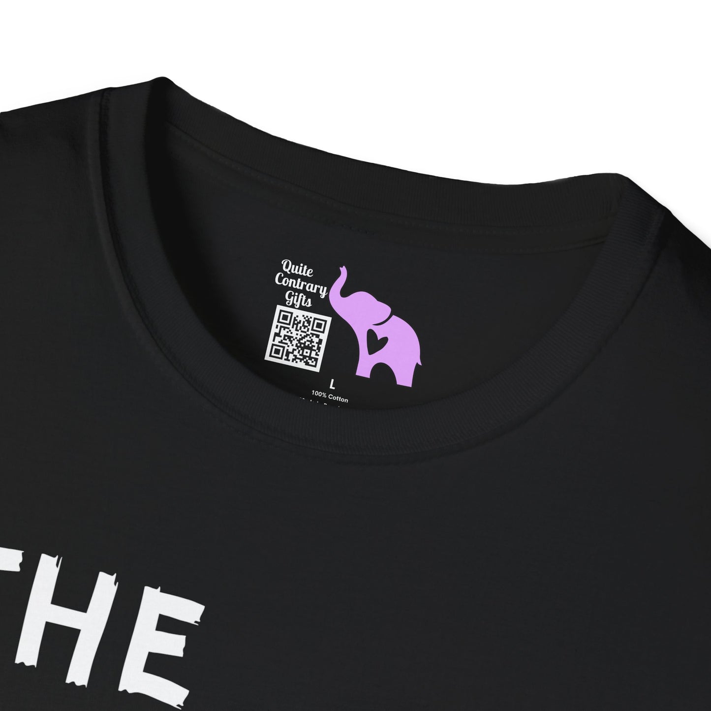 The Rainbow Is A Symbol of God's Promise Adult T-shirt