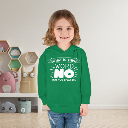 What Is This Word No That You Speak Of? Toddler Hoodie