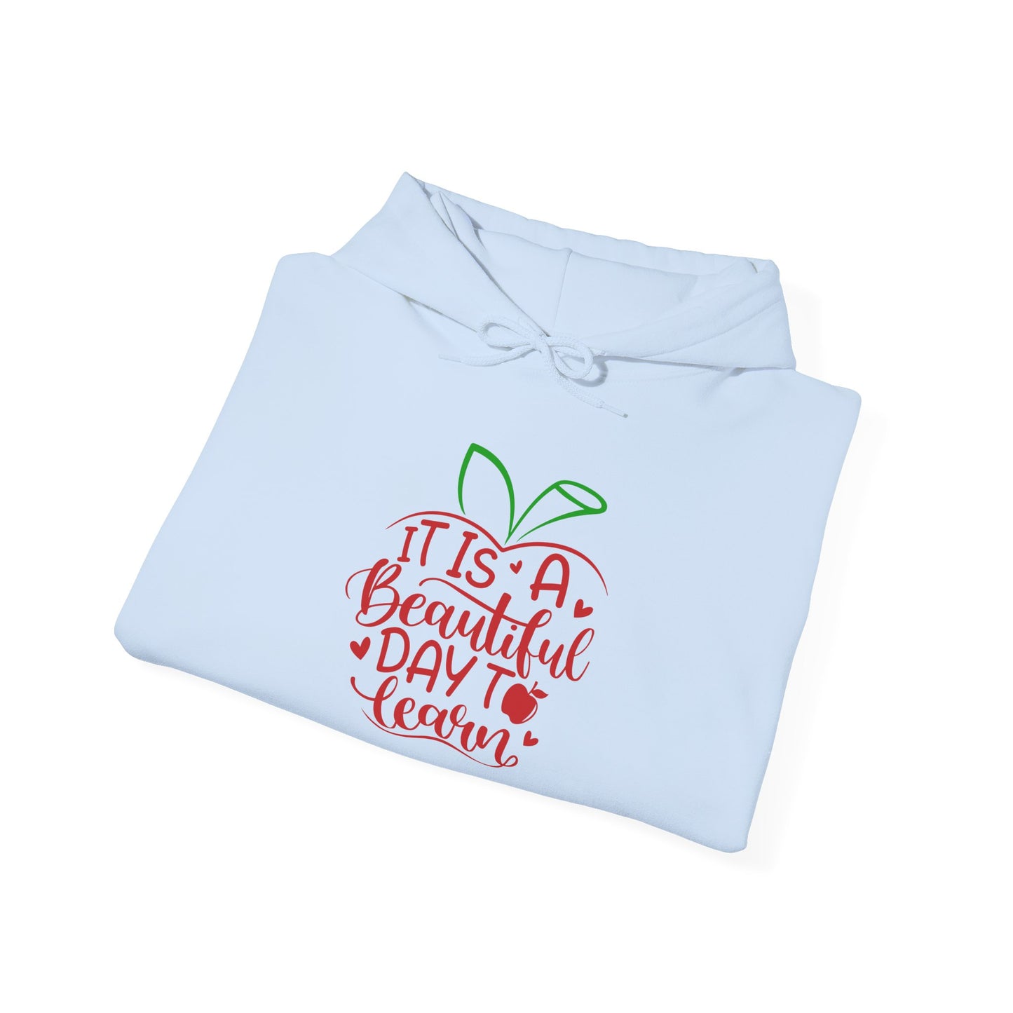 It's A Beautiful Day To Learn Heavy Blend™ Hooded Sweatshirt