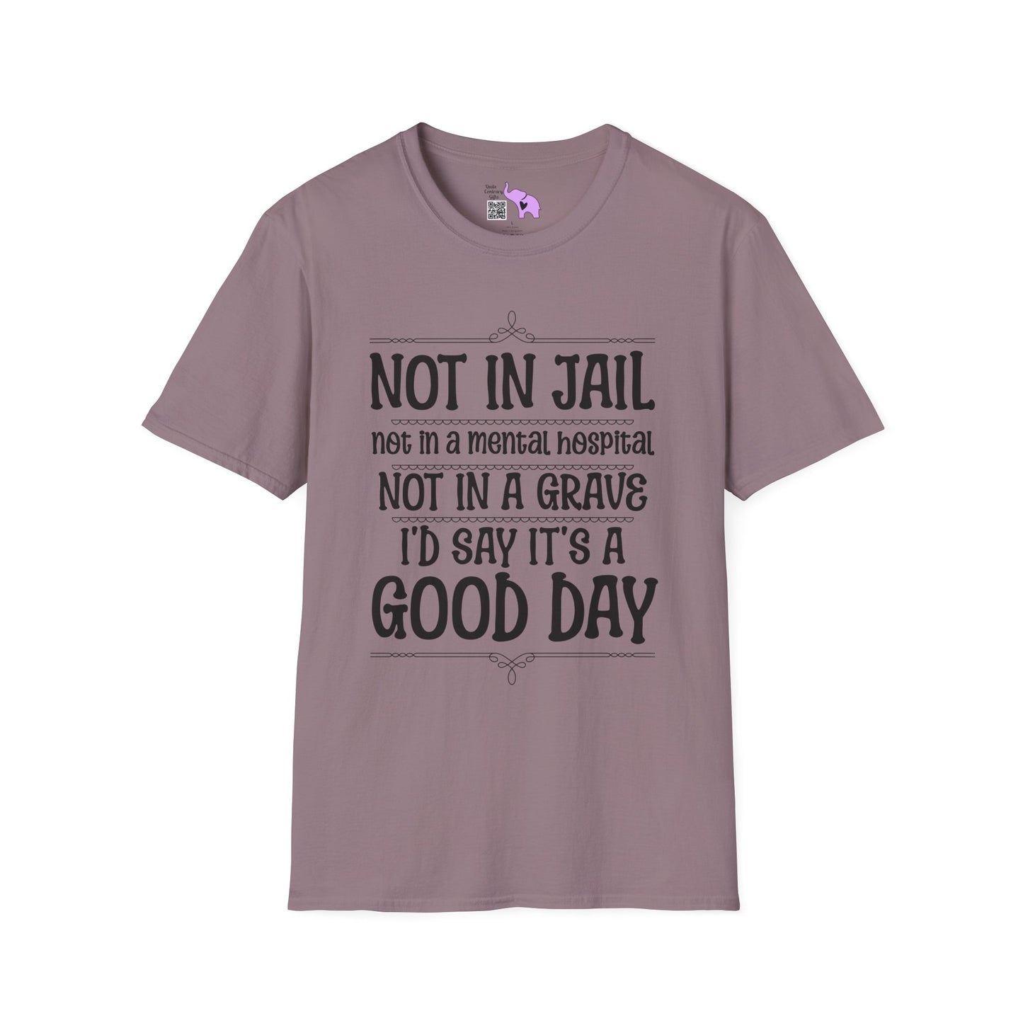 Not In A Jail/Mental Hospital/Dead I'd Say It's A Good Day Adult T-shirt